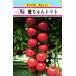  средний шар помидор вид [ love Chan ] love три вид рассада / маленький пакет 