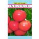  большой шар помидор вид [ super First ] love три вид рассада /100 шарик 