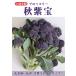  фиолетовый цвет палочка брокколи вид [ осень фиолетовый .] Kobayashi вид рассада / маленький пакет 