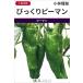  зеленый перец вид [ удивлен зеленый перец ] Kobayashi вид рассада / маленький пакет 