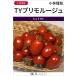  мини помидоры вид [TYp Limo rouge ] Kobayashi вид рассада / маленький пакет 
