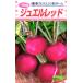  2 10 день дайкон вид [ драгоценности красный ] сосна . вид рассада / маленький пакет 