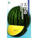  желтый мясо большой шар арбуз вид [ большой золотой звезда ] круг вид / маленький пакет 