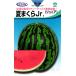  средний шар арбуз вид [ лето ...Jr(..... Junior )] круг вид / маленький пакет 