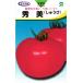  большой шар помидор вид [ превосходящий прекрасный ] круг вид / маленький пакет 