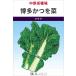 tsukena вид [ Hakata и ..] средний .. вид место / маленький пакет 