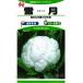  цветная капуста вид [ снег месяц ]. мыс . вид место /100 шарик 