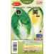  желтый сердцевина весна ~ первый лето .. Haku носорог вид [ весна смех ] AHA013takii вид рассада / маленький пакет ( priming pe let 100 шарик )