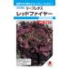  красный leaf lettuce вид [ красный fire -] ALE530takii вид рассада /pe let L5000 шарик 