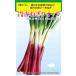  красный корень глубокий лук-батун вид [ красный лук порей Queen ]tokita вид рассада / пальто 5000 шарик 