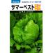 . лампочка lettuce вид [ summer лучший EX]takayamasi-do/ маленький пакет 