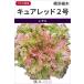 красный leaf lettuce вид [kyua красный 2 номер ] Yokohama растение /L пальто 5 тысяч шарик 