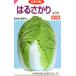  весна для китайская капуста. .... маленький пакет 1.3ml ввод почтой отправка товар 