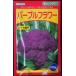  цветная капуста лиловый цветок маленький пакет пальто 30 шарик ввод почтой отправка товар 