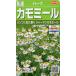  трава ромашка маленький пакет 0.9ml ввод почтой отправка товар 