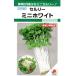  сельдерей Mini белый маленький пакет 1.5ml ввод почтой отправка товар 
