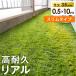  artificial lawn roll 0.5m×10m U character pin 1 2 ps attaching diy super high density lawn grass height 35mm garden gardening garden veranda terrace balcony real artificial lawn pin lawn grass raw 