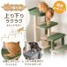 �{��+4% �L���b�g�^���[ ��^�L�p �L�^���[ �ؐ� �V�j�A�L �����u�� �ȃX�y�[�X �� 110cm �X���� �u���^ �܌��� �ȕR �L �߂Ƃ� ���� ������� �L���c�g�^���[ �֘A�摜2