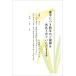  я производства 10 листов . средний открытка рукописный текст . запись модель я производства открытка марка нет задняя поверхность печать завершено K-2021-819