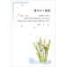 . производства 10 листов . средний открытка рукописный текст . запись модель 85 иен марка есть почтовая открытка задняя поверхность печать завершено K-2021-821