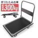��� ����� �܂肽���� �y�� 300kg �L���X�^�[�t���� �É���� �X���� �L�����[�J�[�g