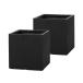 [ затраты ko] Cube type волокно k Ray посадочная машина XXS 23cm 2 шт. комплект черный ZZ-C14K23Ex2