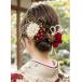 [������]�������� �_���A�~�Ӓ��� ���l�� �U�� ���Ǝ� �� ������ �O�B�� �w�A�s���t �a�� ���� �a�� ������ �p�[�� ����R ���{�� �`���[��(��/��/�S�[���h)ce �֘A�摜2