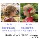  украшение для волос церемония окончания hakama день совершеннолетия кимоно с длинными рукавами свадьба передний .. шпилька приклеенные предметы японский костюм свадьба платье головной убор жемчуг мир шнур золотой .8 позиций комплект ( шампанское / красный / Gold )83s