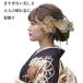 ���Y ������ ���l�� ���Ǝ� ������ �O�B�� �U�� �� �h���X �a�� ���w�� ���ؑ��ԁ��v���U �����w�A�A�N�Z �������E�a�ʁE�a�R�i��/�S�[���h/�V���o�[�j931h