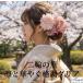 �y������z��֑��ԁ~2 ���A���_���A ���Ǝ� �� ���l�� �U�� ������ �E�F�f�B���O ���� �a�� �����C �҂݂��낵 �a�� ������ �s���N/�S�[���h/�V���o�[997