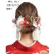 ���Y������ ���l�� ���Ǝ� ������ �O�B��@�U�� �� �h���X �a�� ���w�� ���ؑ��ԁ��v���U �����w�A�A�N�Z �������E�a�ʁE�^�b�Z���t�i��/�S�[���h/�V���o�[�j901
