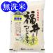 無洗米 令和 元年産 新米 福井産 コシヒカリ 5kg 送料無料 ご注文後に精米発送します