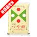 令和 元年度産 新米 山形県産 つや姫 特別栽培米 5kg 送料無料 玄米 白米 7分づき 5分づき 3分づき