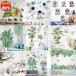  wall sticker DIY interior wall seal wallpaper wall sticker sticker decorative plant plant peeling ... bird 