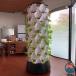  вертикальный гидропонная культура система 10 слой гидропонная культура tower hyde re-ting насос таймер имеется гидропонная культура комплект THKJ трава фрукты овощи для легкий в использовании рекомендация популярный 
