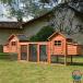  курица маленький магазин наружный из дерева большой курица .hen house песок . синий крыша атмосферостойкий защита от дождя . способ . изоляция . дом . клетка заяц Hatchback легкий в использовании рекомендация популярный внимание item 