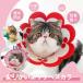 TBH ветеринарный воротник кошка soft кошка кошка для легкий для домашних животных soft ветеринарный воротник SML размер -тактный отсутствует уменьшение легкий . после царапина . защита царапина облизывание предотвращение подсолнух украшение 