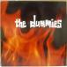 DUMMIES, THE(ߡ)-S.T. (US åɥʥ LP+󥵡)
