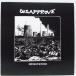 DISAPPROVE-Devastation (US 300ץ쥹 LP