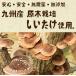��B�Y�@���t �����������@40g�~2�܃Z�b�g �@  ���Y ���Y�� ���_�� ������������ �ő� �������� �V�C�^�P �󂠂� �����p �֘A�摜2