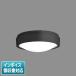 [ˡ͸] NWCF11505C LE1 ѥʥ˥å  ŷľշ ľշ LED  ɱ [ NWCF11505CLE1 ]