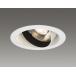 [ юридическое лицо ограничение ] LEDD-35043W Toshiba * заказанные товары LED цельный форма универсальный встраиваемый светильник [ LEDD35043W]