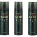 【3本セット】バスクリン インセント 薬用毛髪躍動 育毛剤 185G　千葉西倉庫