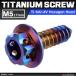 64�`�^���l�W M5�~17mm �w�L�T�S���w�b�h �^�b�s���O�l�W �Z�p���t�� �Ă��`�^���J���[ �_�[�N���J���[ 1�� JA606