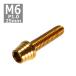  колпак болт M6×25mm P1.0 конус ракушка нержавеющая сталь Gold 1 шт TB0310