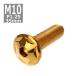  кнопка болт M10×35mm P1.25 Star head нержавеющая сталь Gold 1 шт TR0617