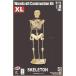 Quay B076 Skeleton XL Woodcraft Construction Kit, Brown