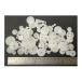 �J�Z�b�g�f�b�L/CD/DVD/BD�C���p�[�c ���� �M�A (��70�Z�b�g) �쓮�n���Ճp�[�c�C�������p �֘A�摜3