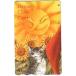  Toshocard Dayan*s Club Card Toshocard 500 CAD21-0093