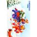 ƥ쥫 ƥۥ󥫡 ޤΥסDS ꥹޥ1996 DS003-0004
